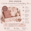 Winter wonderland cashstuffing box