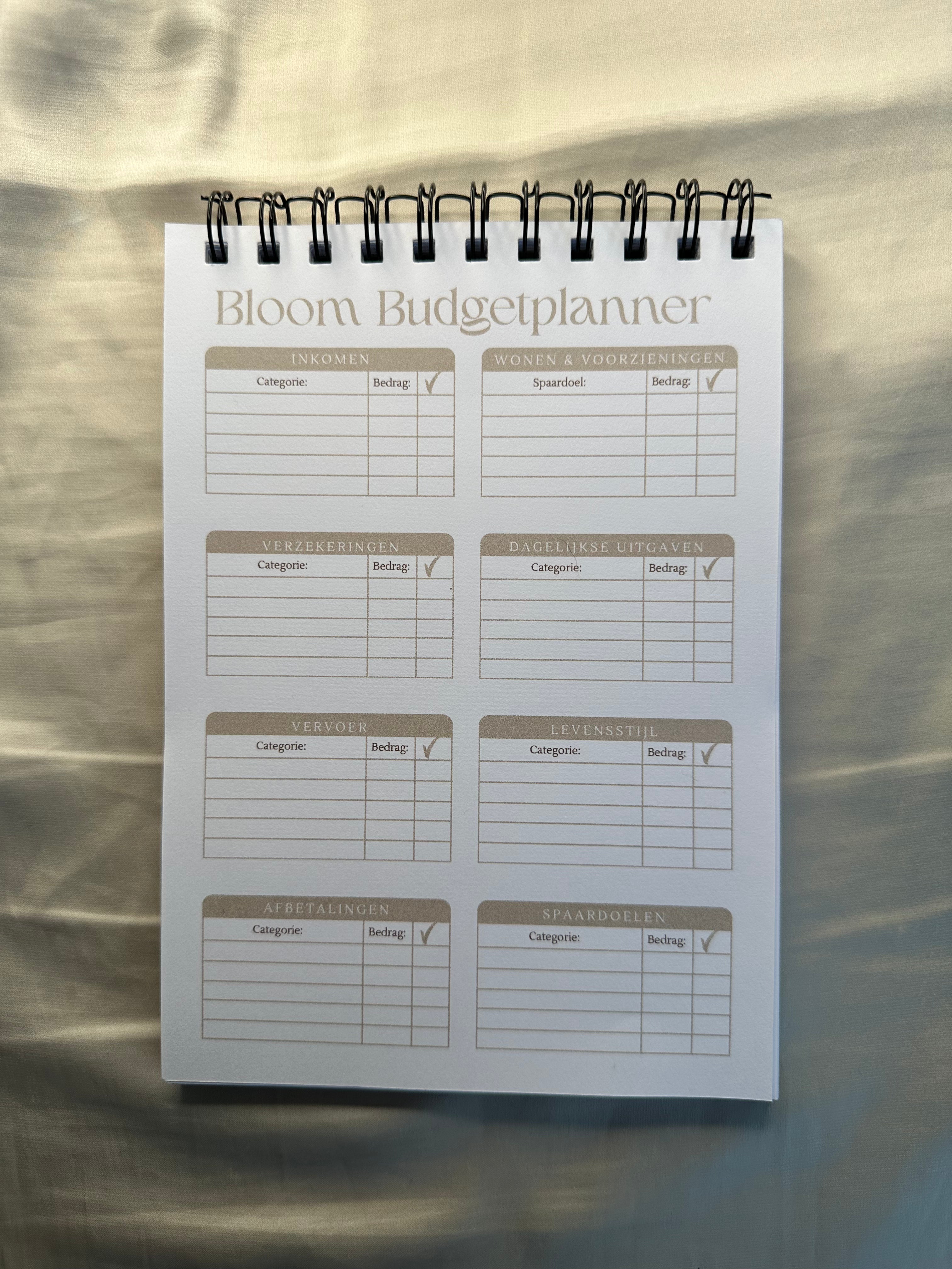 Budget planner - beige